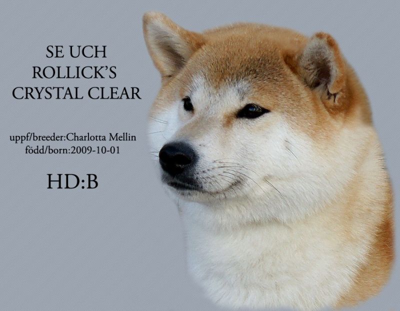 Rollick's CRYSTAL CLEAR