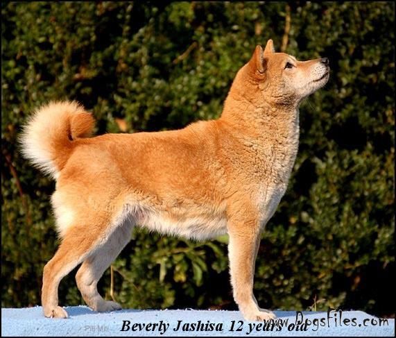 BEVERLY Jashisa CS